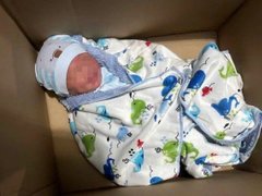 Đọc nhanh bài viết 1182395