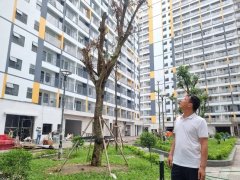 Đọc nhanh bài viết 1182401