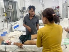 Đọc nhanh bài viết 1182585