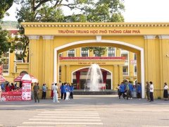 Đọc nhanh bài viết 1182651