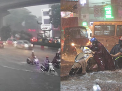 Đọc nhanh bài viết 1182701