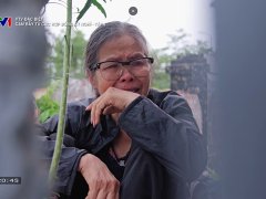 Đọc nhanh bài viết 1182714