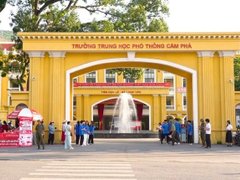 Đọc nhanh bài viết 1182728