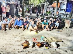 Đọc nhanh bài viết 1182761
