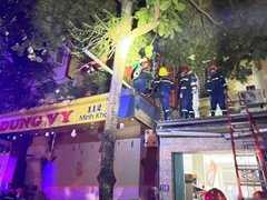 Đọc nhanh bài viết 1182888
