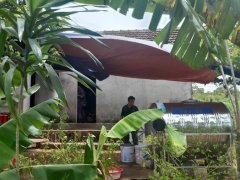 Đọc nhanh bài viết 1182889