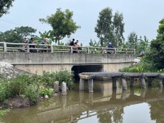 Đọc nhanh bài viết 1182912