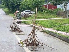 Đọc nhanh bài viết 1183072
