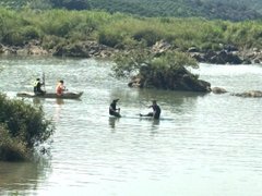 Đọc nhanh bài viết 1183185