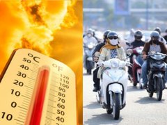 Đọc nhanh bài viết 1183332