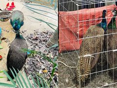 Đọc nhanh bài viết 1183451