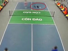Đọc nhanh bài viết 1183495