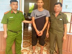 Đọc nhanh bài viết 1183556