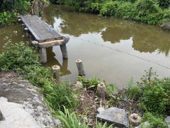 Đọc nhanh bài viết 1183717