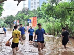 Đọc nhanh bài viết 1183725