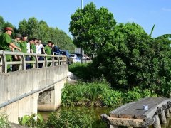 Đọc nhanh bài viết 1183815