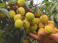 Đọc nhanh bài viết 1183871