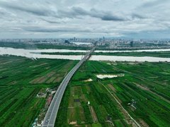Đọc nhanh bài viết 1184026