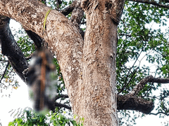 Đọc nhanh bài viết 1184088