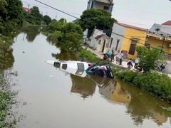 Đọc nhanh bài viết 1184129
