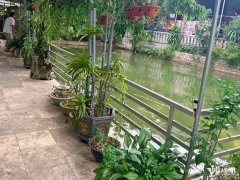 Đọc nhanh bài viết 1184257