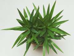 Đọc nhanh bài viết 1184296