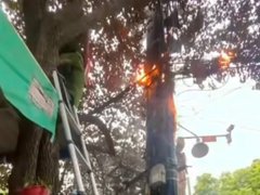 Đọc nhanh bài viết 1184330