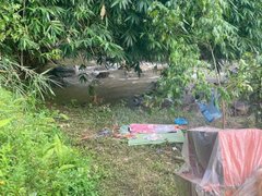 Đọc nhanh bài viết 1184403