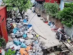 Đọc nhanh bài viết 1184449