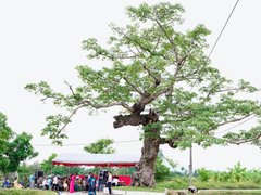 Đọc nhanh bài viết 1184499