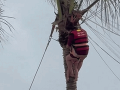 Đọc nhanh bài viết 1184641