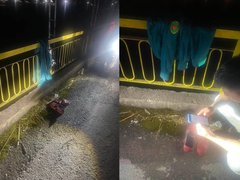 Đọc nhanh bài viết 1184710