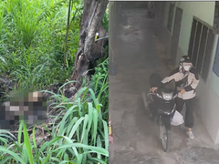 Đọc nhanh bài viết 1184739
