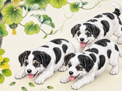 Đọc nhanh bài viết 1184821