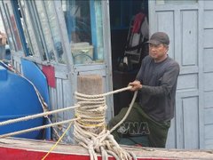 Đọc nhanh bài viết 1184892