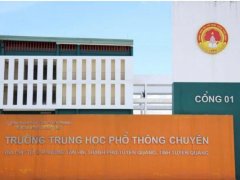 Đọc nhanh bài viết 1185021