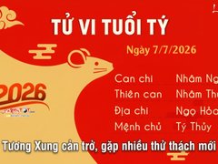 Đọc nhanh bài viết 1185139