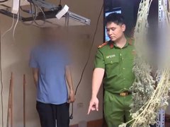 Đọc nhanh bài viết 1185211