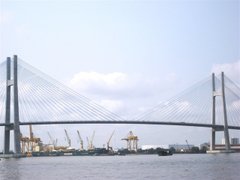 Đọc nhanh bài viết 1185286