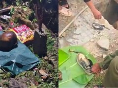 Đọc nhanh bài viết 1185305