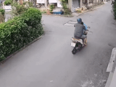 Đọc nhanh bài viết 1185306