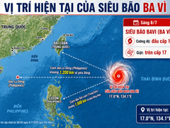 Đọc nhanh bài viết 1185310