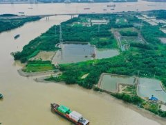 Đọc nhanh bài viết 1185365