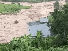 Đọc nhanh bài viết 1185377