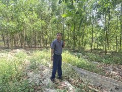Đọc nhanh bài viết 1185381