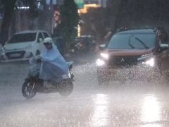 Đọc nhanh bài viết 1185481