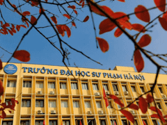Đọc nhanh bài viết 1185502