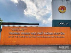 Đọc nhanh bài viết 1185678