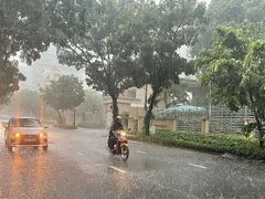Đọc nhanh bài viết 1185765
