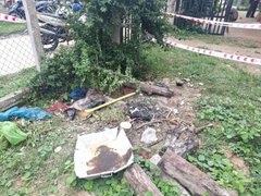 Đọc nhanh bài viết 1185772